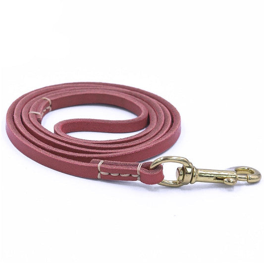 Stylish Leather Pet Leash for Small Medium Dogs - My Puppy Fresh