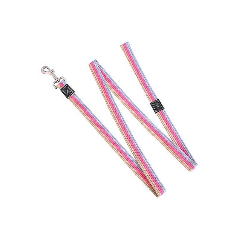 Non-Slip Rubber Nylon Dog Leash - My Puppy Fresh