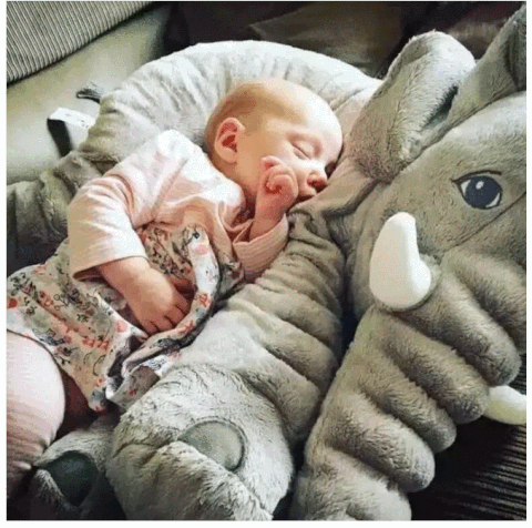 $ Baby Elephant Plush Pillow $ - elephant plush - My Store