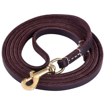 Stylish Leather Pet Leash for Small Medium Dogs - My Puppy Fresh