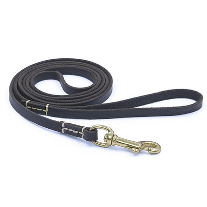Stylish Leather Pet Leash for Small Medium Dogs - My Puppy Fresh