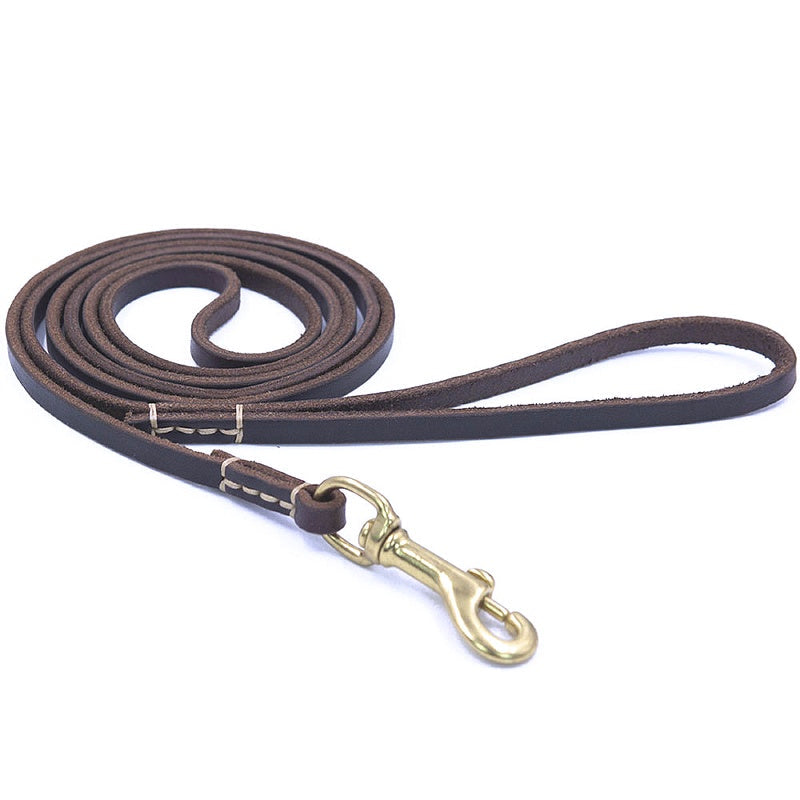 Stylish Leather Pet Leash for Small Medium Dogs - My Puppy Fresh