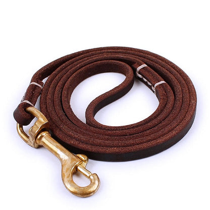 Stylish Leather Pet Leash for Small Medium Dogs - My Puppy Fresh
