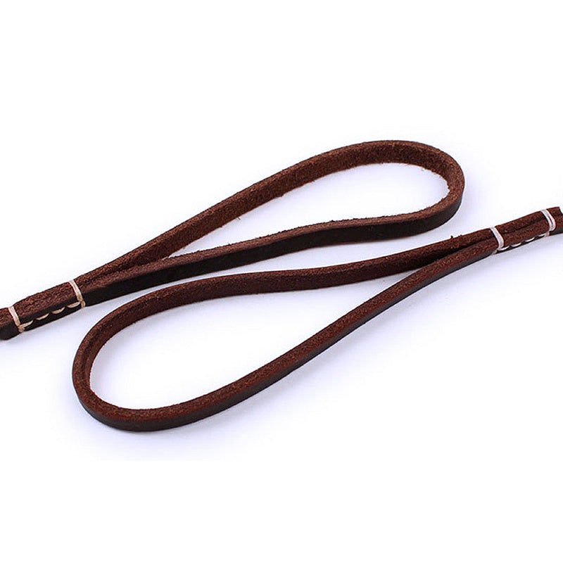Stylish Leather Pet Leash for Small Medium Dogs - My Puppy Fresh