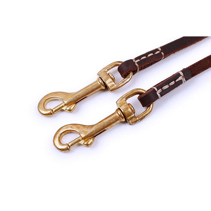 Stylish Leather Pet Leash for Small Medium Dogs - My Puppy Fresh