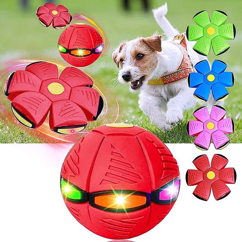 Innovative Magic Flying Saucer Dog Ball - My Puppy Fresh