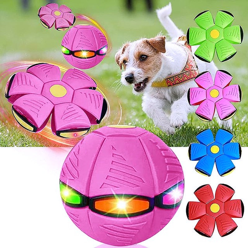 Innovative Magic Flying Saucer Dog Ball - My Puppy Fresh