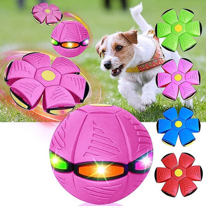 Innovative Magic Flying Saucer Dog Ball - My Puppy Fresh