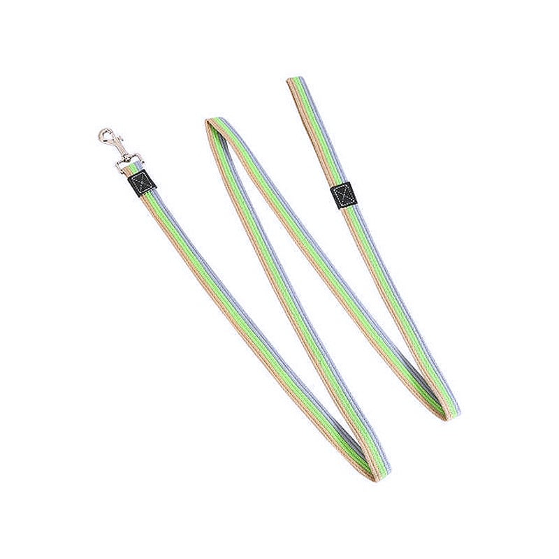 Non-Slip Rubber Nylon Dog Leash - My Puppy Fresh