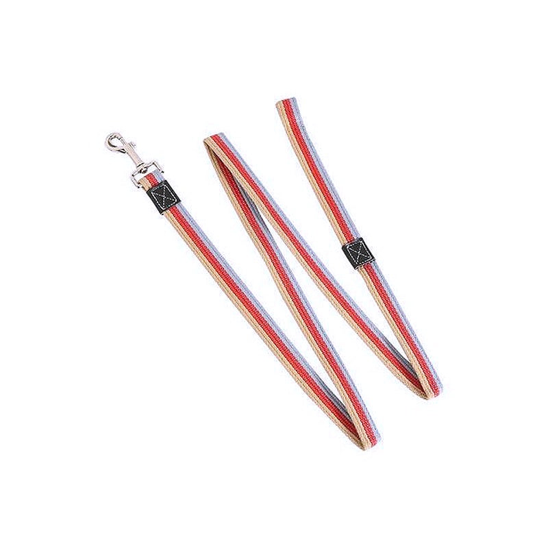 Non-Slip Rubber Nylon Dog Leash - My Puppy Fresh