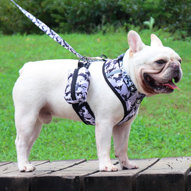 4 Combo Matching Dog Collar Harness Leash Pouch Set - My Puppy Fresh