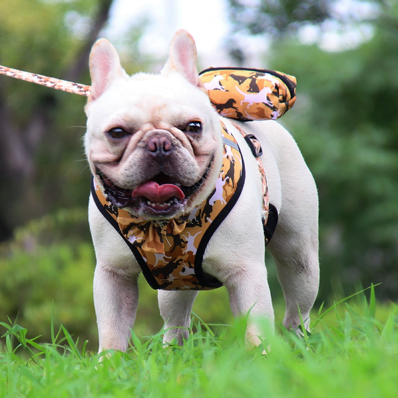 4 Combo Matching Dog Collar Harness Leash Pouch Set - My Puppy Fresh