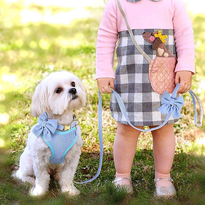 Adorable Dog Harness Collar Leash Set - My Puppy Fresh