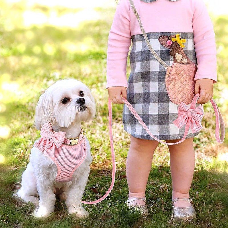 Adorable Dog Harness Collar Leash Set - My Puppy Fresh