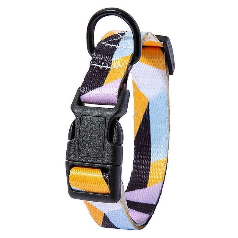 Bohemian Style Nylon Dog Collar Leash Set - My Puppy Fresh