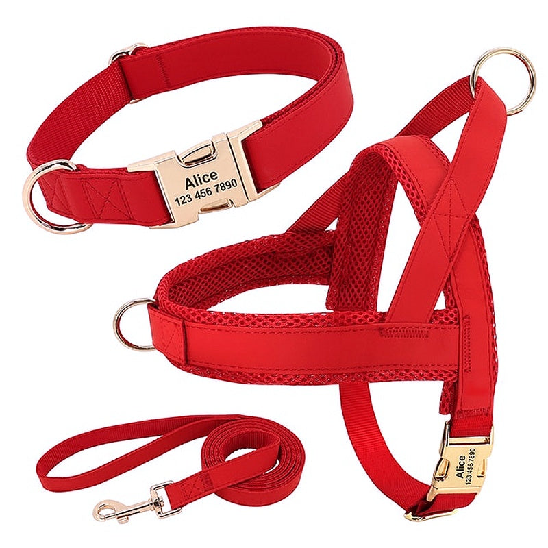 Customized Dog Matching Collar Harness Leash Set - My Puppy Fresh