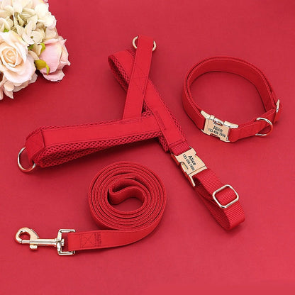 Customized Dog Matching Collar Harness Leash Set - My Puppy Fresh