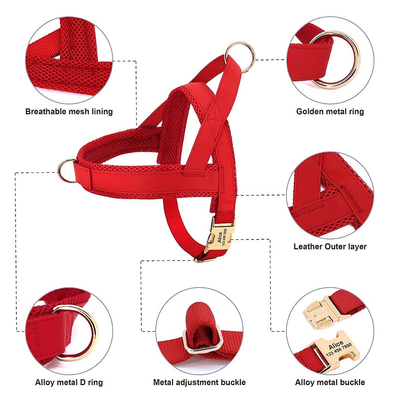 Customized Dog Matching Collar Harness Leash Set - My Puppy Fresh