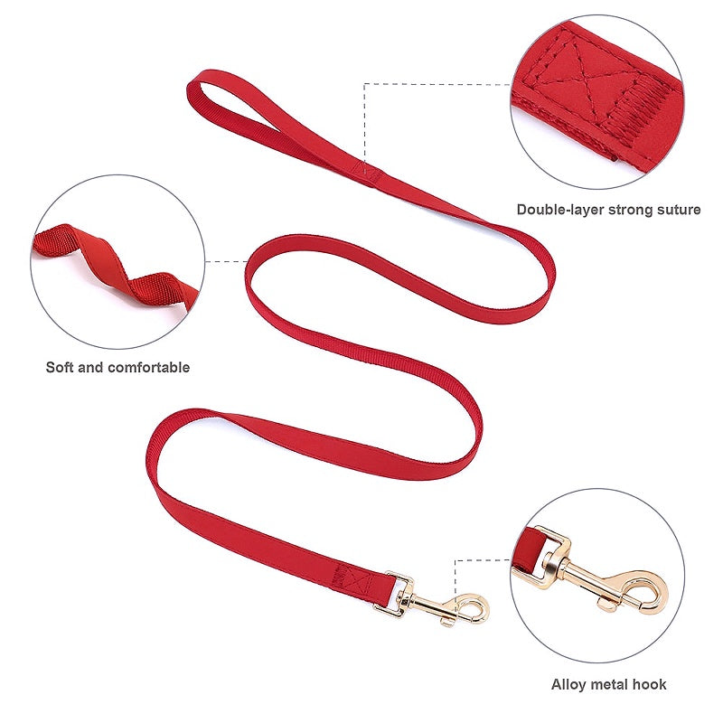 Customized Dog Matching Collar Harness Leash Set - My Puppy Fresh
