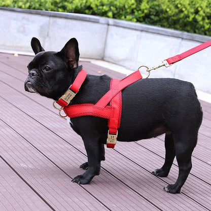 Customized Dog Matching Collar Harness Leash Set - My Puppy Fresh