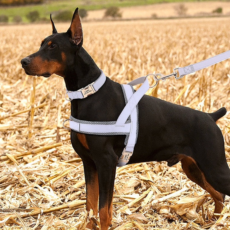 Customized Dog Matching Collar Harness Leash Set - My Puppy Fresh