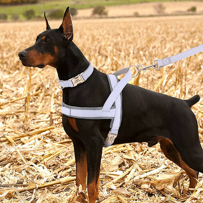 Customized Dog Matching Collar Harness Leash Set - My Puppy Fresh
