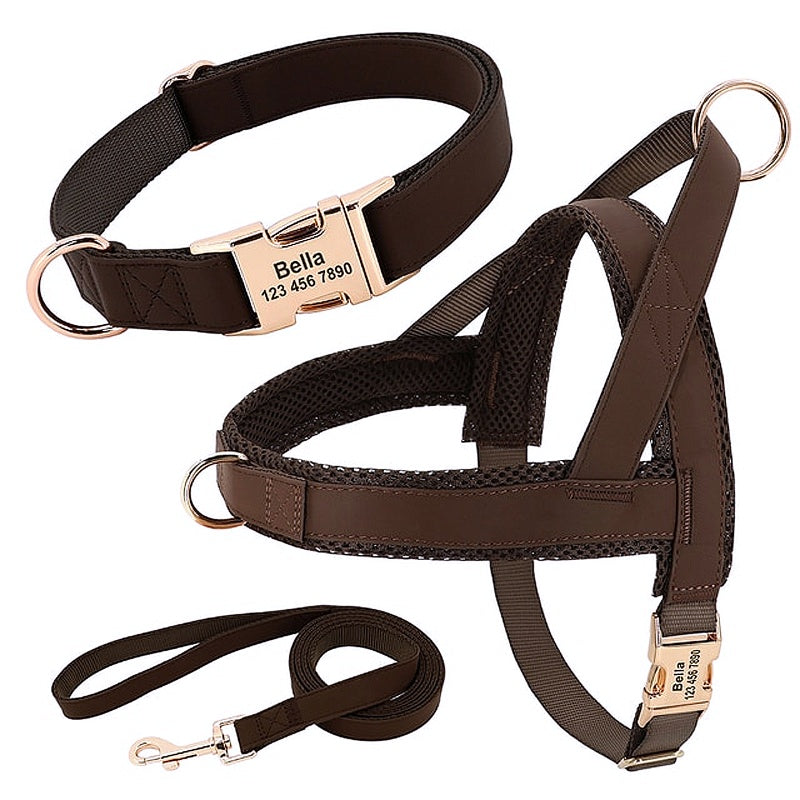 Customized Dog Matching Collar Harness Leash Set - My Puppy Fresh