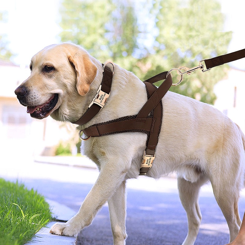 Customized Dog Matching Collar Harness Leash Set - My Puppy Fresh