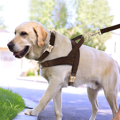 Customized Dog Matching Collar Harness Leash Set - My Puppy Fresh