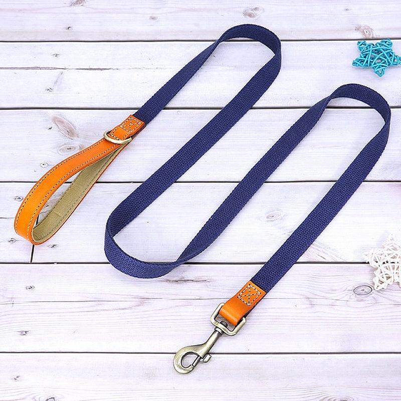 Customized Nylon Leather Dog Collar Leash Set - My Puppy Fresh