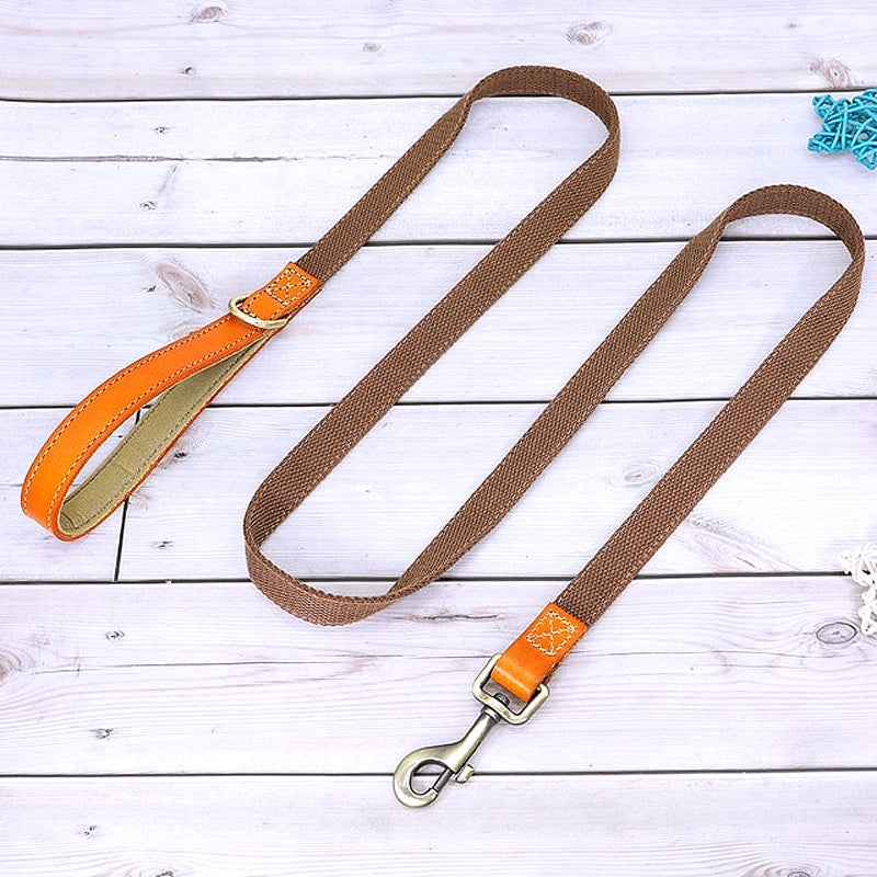 Customized Nylon Leather Dog Collar Leash Set - My Puppy Fresh