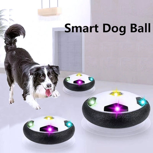 Engaging Smart Soccer Ball Dog Toy - My Puppy Fresh