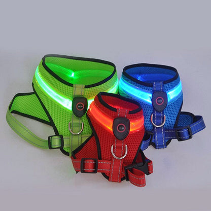 Great Pet LED Harness: No Pull Dog Vest with LED Light - My Puppy Fresh