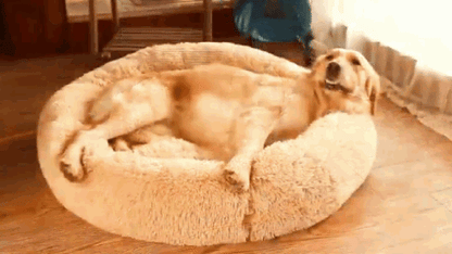 Donut Faux Fur Pet Bed - My Puppy Fresh