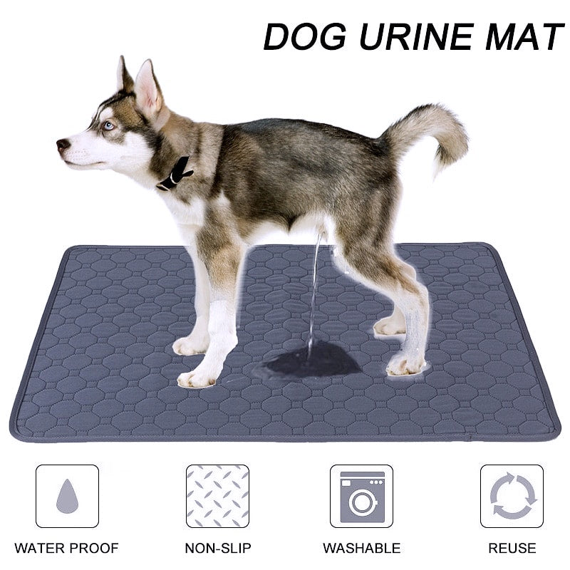 Washable Absorbent Dog Training Pee Pad - My Puppy Fresh
