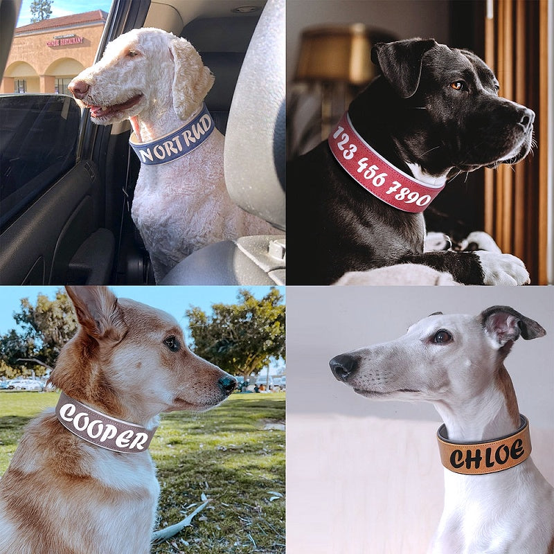 Customizable Leather Stylish Collar - My Puppy Fresh