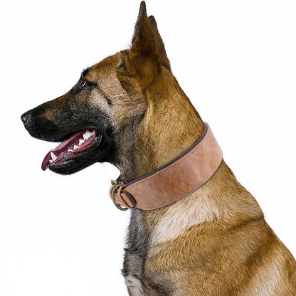 Customizable Leather Stylish Collar - My Puppy Fresh