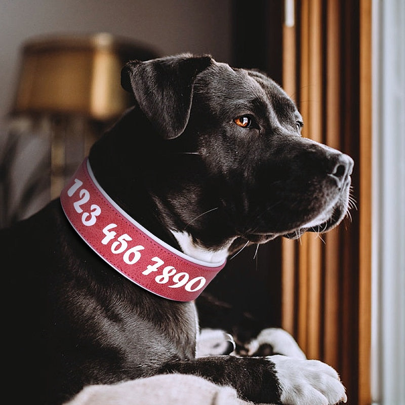 Customizable Leather Stylish Collar - My Puppy Fresh