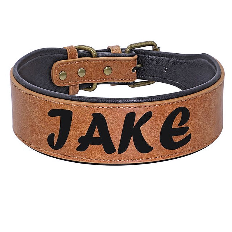 Customizable Leather Stylish Collar - My Puppy Fresh