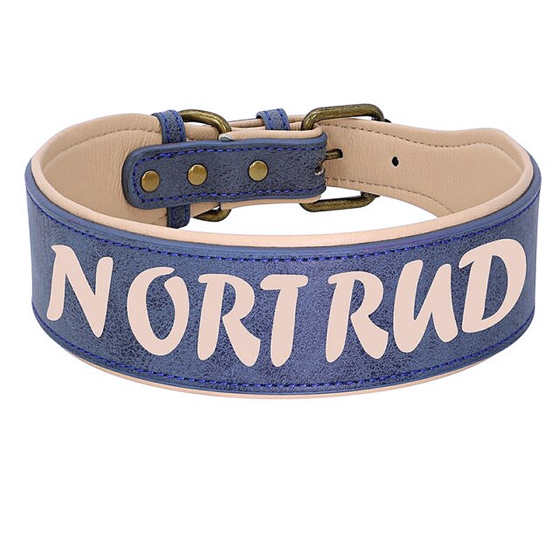 Customizable Leather Stylish Collar - My Puppy Fresh