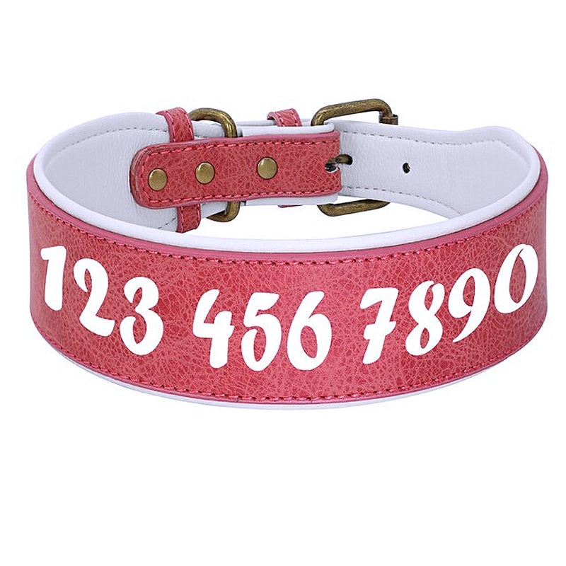 Customizable Leather Stylish Collar - My Puppy Fresh