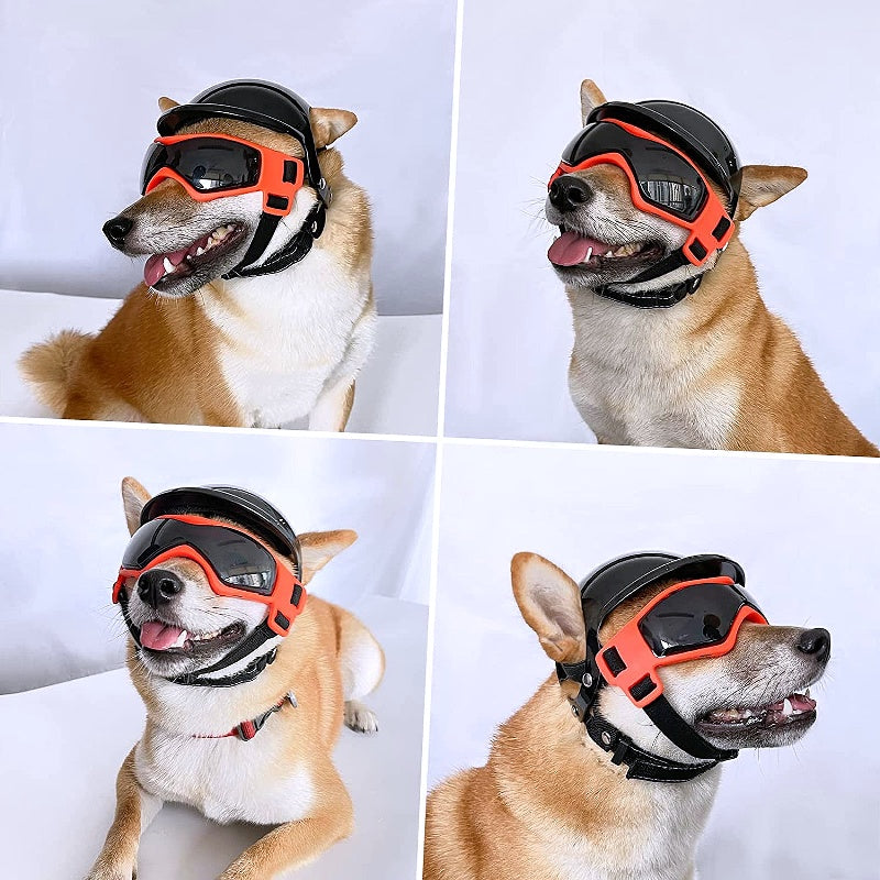 Dog Sunglasses and Wind Protection Helmet Set - My Puppy Fresh