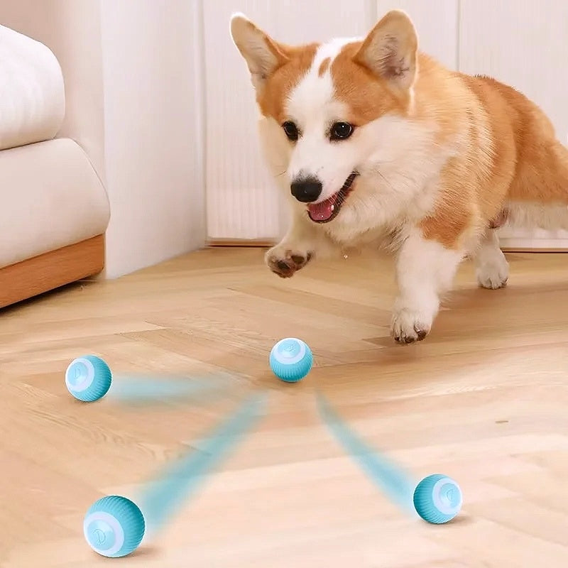 Smart Auto Rolling Ball Dog Toy - My Puppy Fresh
