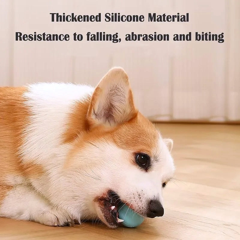 Smart Auto Rolling Ball Dog Toy - My Puppy Fresh