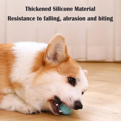 Smart Auto Rolling Ball Dog Toy - My Puppy Fresh