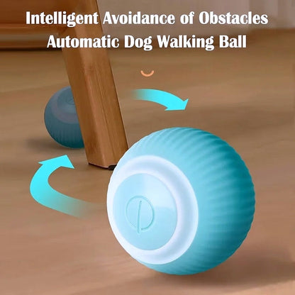 Smart Auto Rolling Ball Dog Toy - My Puppy Fresh