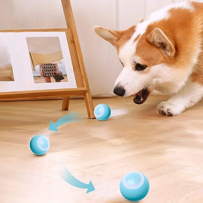 Smart Auto Rolling Ball Dog Toy - My Puppy Fresh