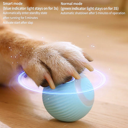 Smart Auto Rolling Ball Dog Toy - My Puppy Fresh