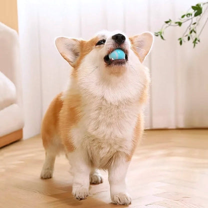 Smart Auto Rolling Ball Dog Toy - My Puppy Fresh