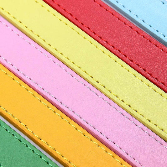 16 Colors Leather Dog Leash - My Puppy Fresh